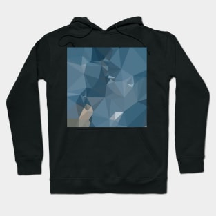 Cerulean Frost Blue Abstract Low Polygon Background Hoodie